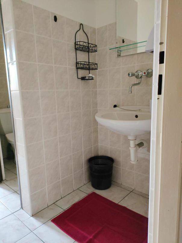 Penzion Sumava - Apartman Horní Planá Buitenkant foto