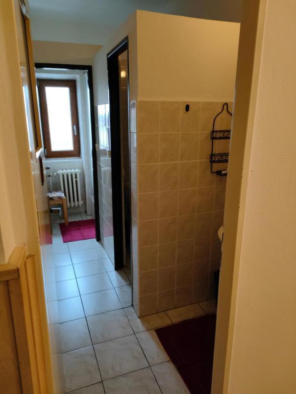 Penzion Sumava - Apartman Horní Planá Buitenkant foto