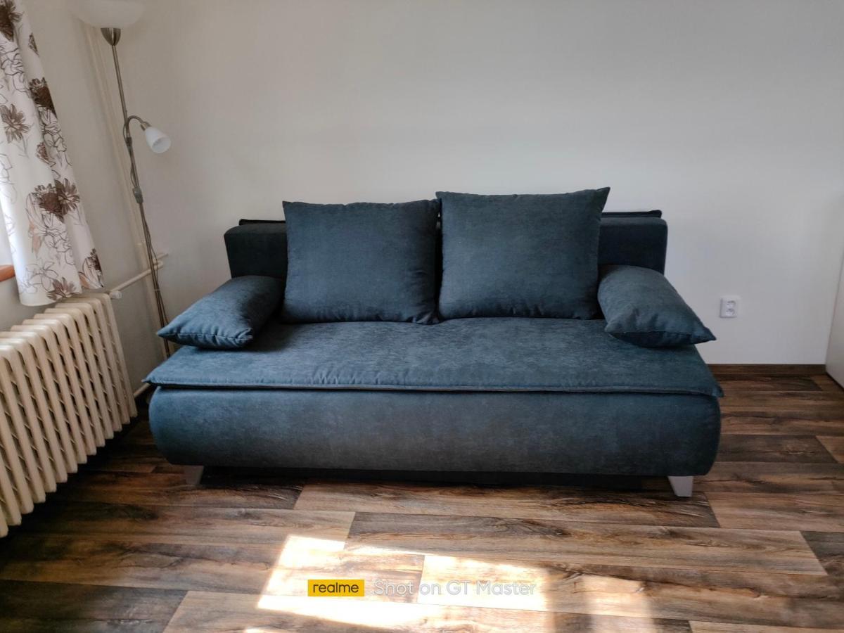 Penzion Sumava - Apartman Horní Planá Buitenkant foto